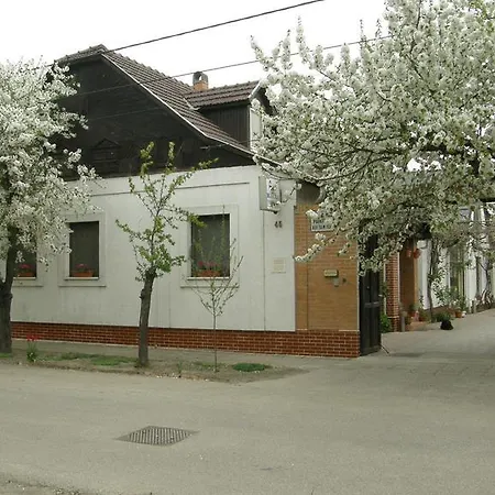 Marika Vendeghaz Szeged