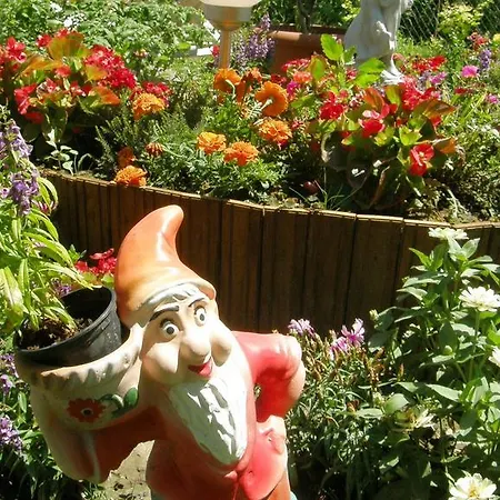 Marika Vendeghaz 3* Szeged