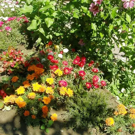 Marika Vendeghaz Guest house Szeged