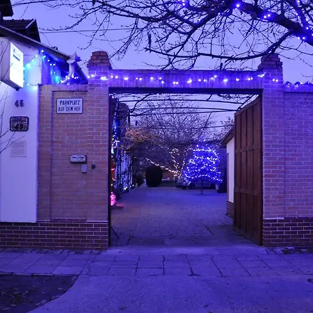 Marika Vendeghaz Guest house