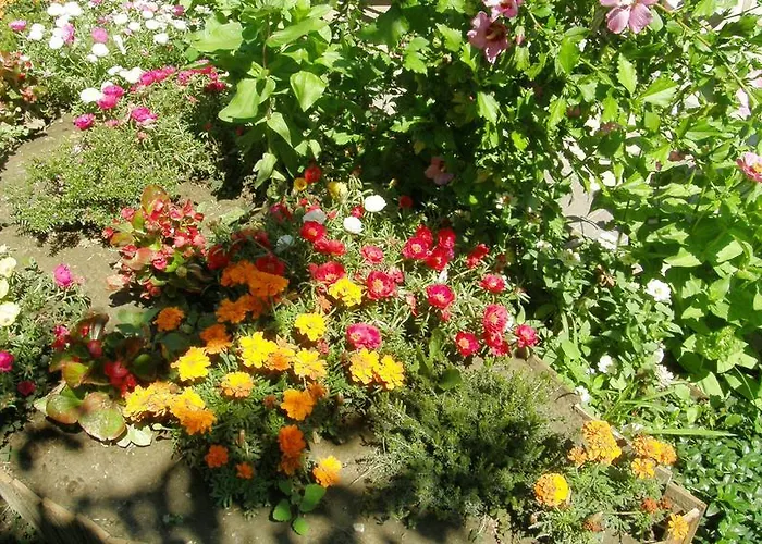 Marika Vendégház Szeged